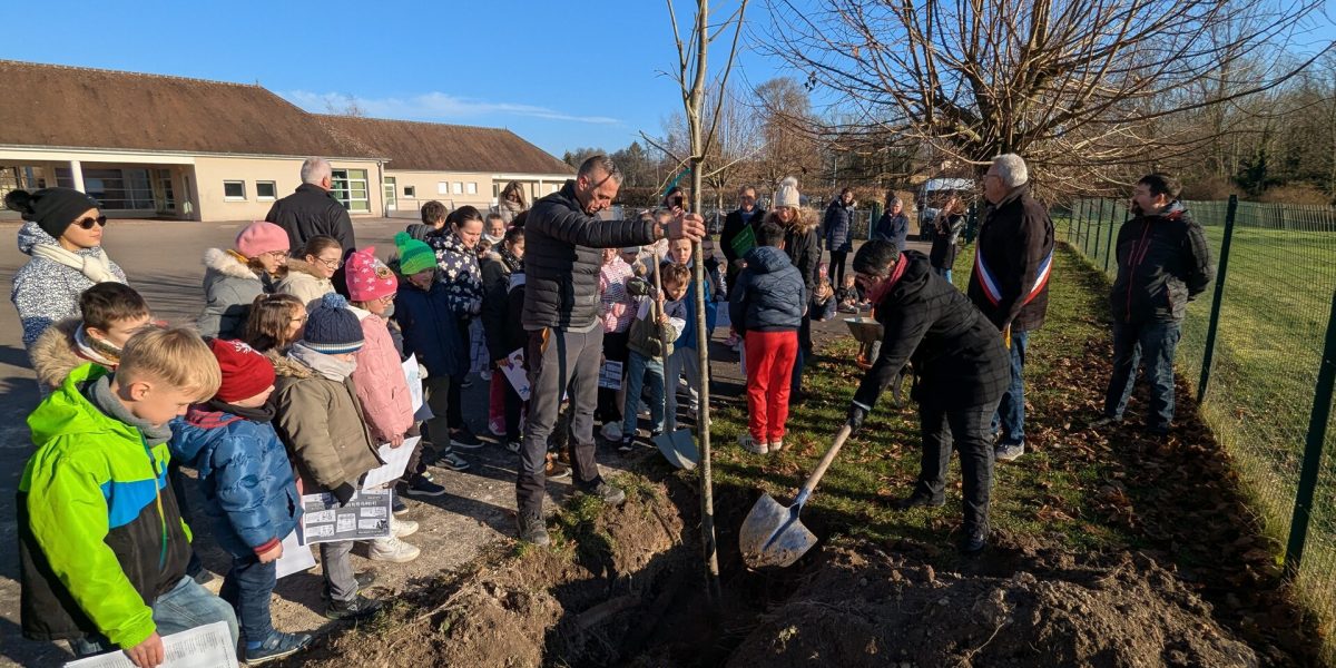 Plantation d'un arbre de la Laïcité